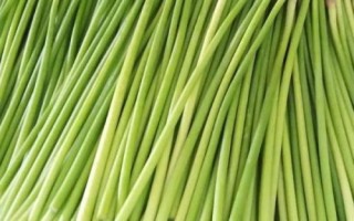 蒜苔怎么长出，大蒜长到一定程度就会分化出细长的茎