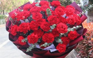 红色康乃馨适合送什么人，适合赠送给母亲或师长