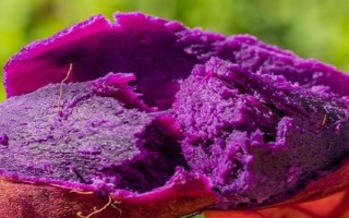 有哪些紫色菜，常见的有茄子、紫甘蓝、洋葱等