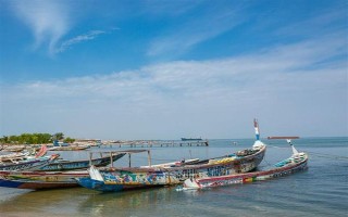 塞内加尔海域渔业资源丰富是什么原因，当地气温适宜