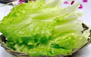 鸡适合吃什么菜,可以选择大白菜、菠菜和生菜等
