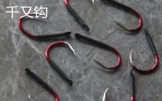 千又钩和伊豆钩的区别，千又钩的钩尖呈鹰嘴状