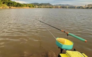 钓鱼好不好钓,与天气、饵料、钓点等相关