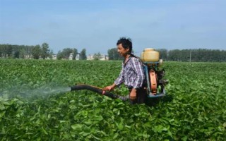 哪种特效药能解除除草剂的药害，使用芸苔素可以缓解、减轻药害
