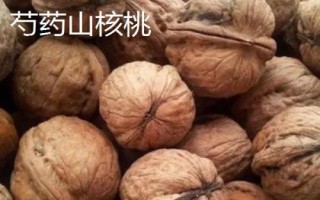 山东烟台市的特产,烟台海参闻名海内外