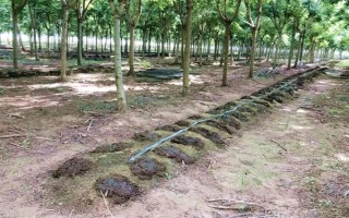 蚯蚓没有销路如何解决，卖给渔具店是不错的选择