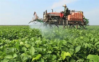 哪种特效药能解除除草剂的药害，使用芸苔素可以缓解、减轻药害