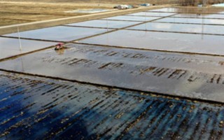 怎么改良盐碱地的土壤，可以进行深耕