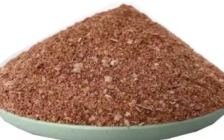 走水能不能钓鱼，垂钓时要注意以下4点