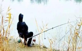 冬季什么时间段钓鱼好,从早上8点开始到下午的3点左右