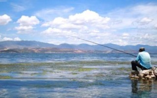 青鱼怎么钓，选择合适的钓组尤为重要