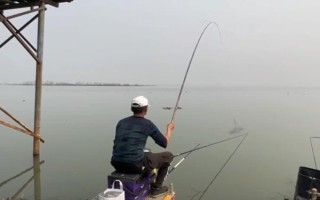 台钓鲫鱼子线要多长，根据鱼情、季节、钓法等决定