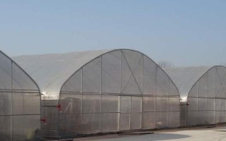 韭菜怎么育苗，宜用新籽播种