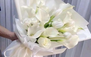 朋友之间适合送什么花,可以选择马蹄莲、勿忘我和向日葵等