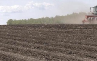 大豆的播种时间，一年四季都可以播种