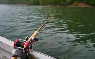 筏钓的最佳钓点,养殖网箱下面堪称最佳钓点