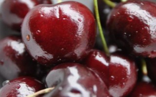 智利车厘子品种有哪些，常见的有布鲁克斯、桑提娜等