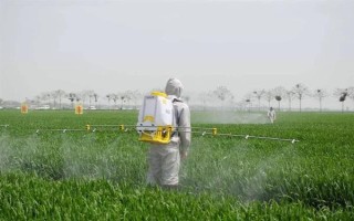 菌核净的防治对象,以多种瓜果蔬菜的灰霉病、菌核病等病害为主