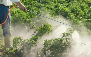 高温期施农药的害处，会导致杀虫效果差且药效低