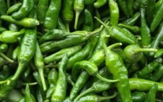 湖南最贵的辣椒是什么品种,是湖南湘阴产的樟树港辣椒