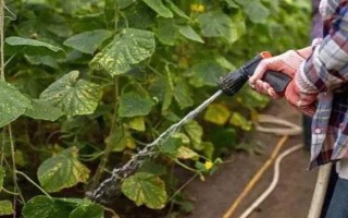 恶霉灵如何使用，可浸种、拌种等