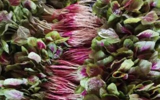 有哪些紫色菜，常见的有茄子、紫甘蓝、洋葱等