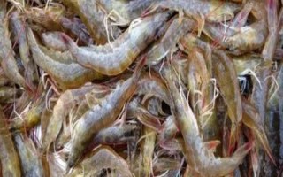 对虾的价格,一般在30-50元一斤