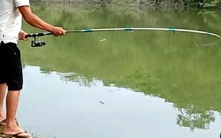 有效垂钓黑鱼的方法，早上和下午是最佳垂钓时间