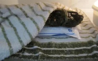 螃蟹在家里怎么养殖,可以用鱼缸养