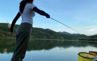 如何垂钓淡水白鲳才能快速上鱼,可将腥饵泡开后投入窝点诱鱼