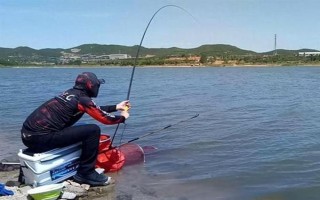钓鲤鱼如何才能避开白条闹窝，可以使用素饵