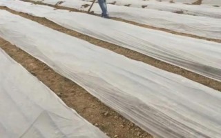 农用薄膜的类型,包括长寿薄膜、轻薄型薄膜、多用途薄膜等种类