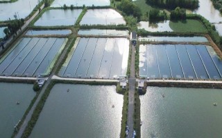 鱼塘缺氧的原因，高温、饲养密度大、淤泥过深等因素均会造成