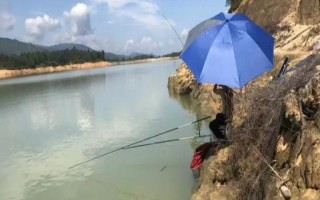 夏季水库钓鱼技巧，用面饵最为合适