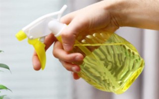 西府海棠如何养殖,适宜生长的温度在20℃左右