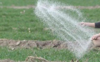 使用化肥要注意哪些问题,氮肥不能浅施、高浓度肥料不能一次性使用过多