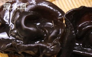 如何正确挑选白背木耳，可以用手捏或者用水泡等