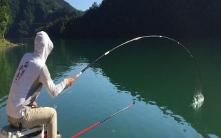 白露前后下雨好不好钓鱼,气温适宜好钓鱼