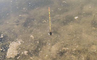 红虫钓鱼如何正确调漂，常用以下4种方式