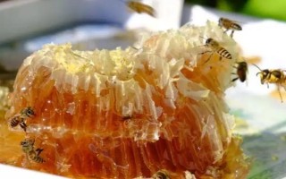 挖蜂巢蜜为什么要用木勺，可防止其受污染