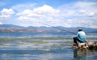 深秋能钓鲢鳙吗，可以垂钓但要注意使用合适的饵料