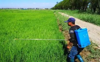 多菌灵有什么特点,具有内吸治疗和保护作用