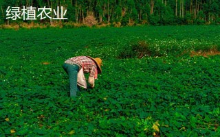 灌溉农业和绿洲农业的区别，定义、分布区域和水源均不同