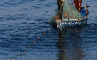 塞内加尔海域渔业资源丰富是什么原因，当地气温适宜