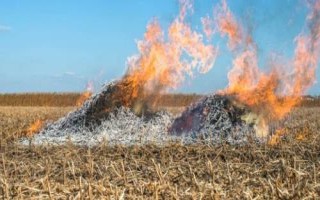 秸秆焚烧有哪些危害，会烧死大量的土壤微生物