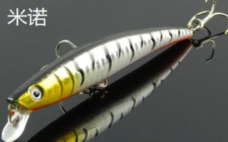 钓黑鱼用假饵好还是真饵好,新手建议尽量用真饵