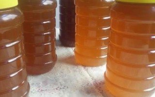 什么是荞麦蜜,由蜜蜂采集荞麦花蜜酿制而成