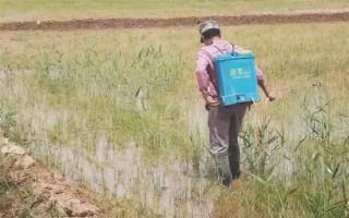 冬季打农药要注意什么，在晴天高温时段用药效果更好