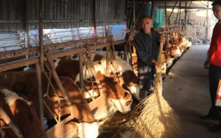 养殖户对于饲料成本与饲养成本的误区，饲料成本越低越好是一种错误的想法