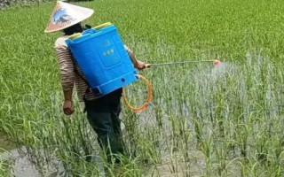怎么选择生根产品,养根、生根、护根是关键